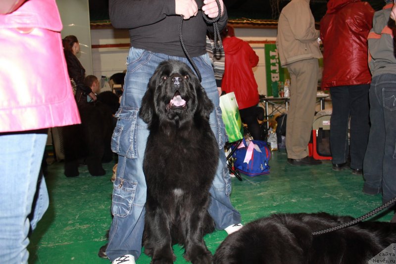 Фотография № 125541