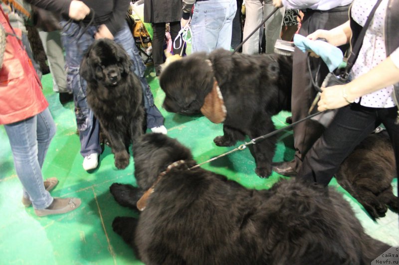 Фотография № 125543