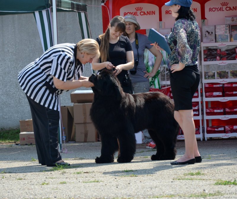 Фотография № 125545