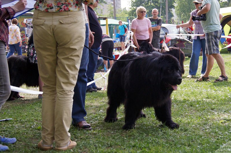 Фотография № 125580