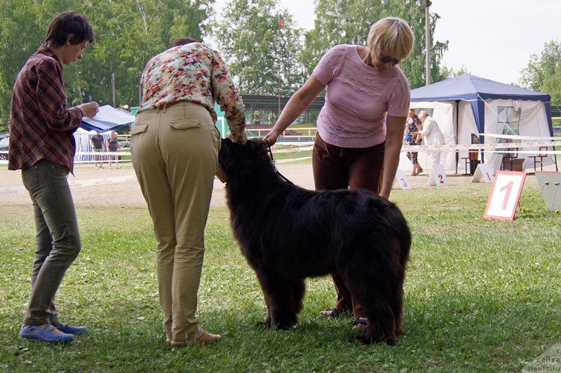 Фотография № 125582