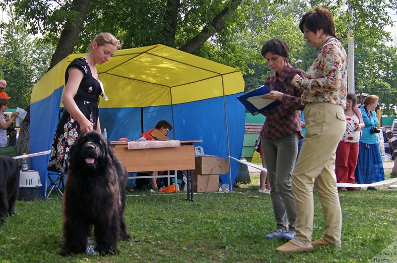 Фотография № 125583