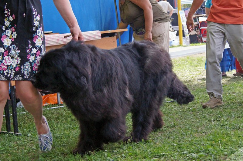 Фотография № 125584