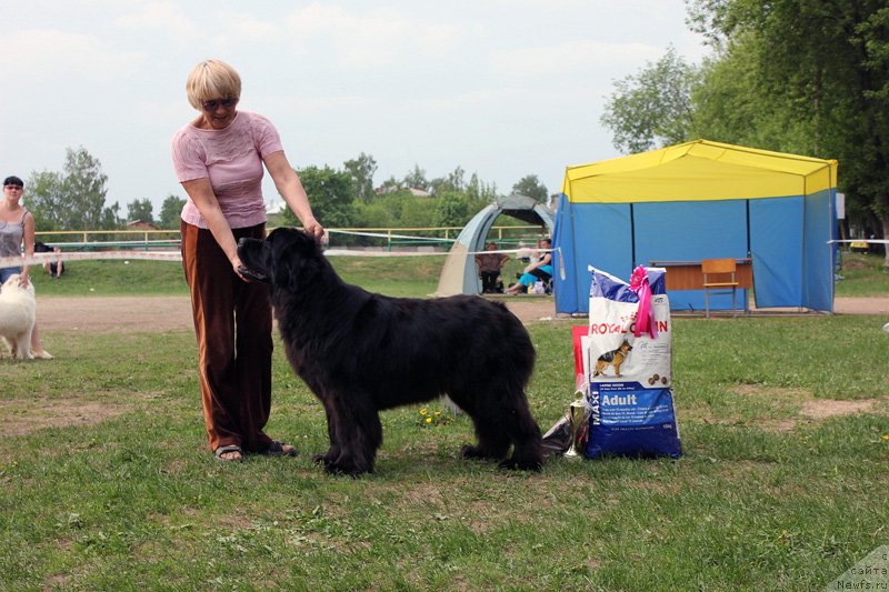 Фотография № 125588