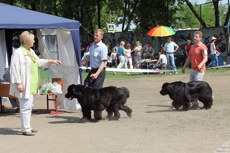 Фотография № 125590