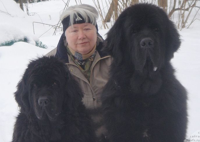 Фото: ньюфаундленд Bjornebandens Richardo Dot Com, ньюфаундленд Bjornebandens Push Up Patricia, Светлана Зырянова