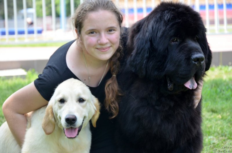 Фотография № 125594