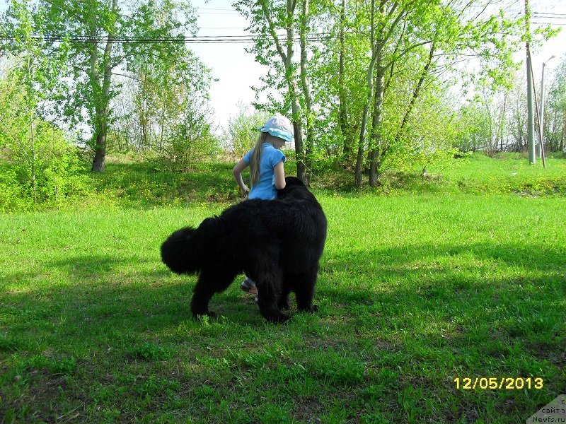 Фотография № 125597