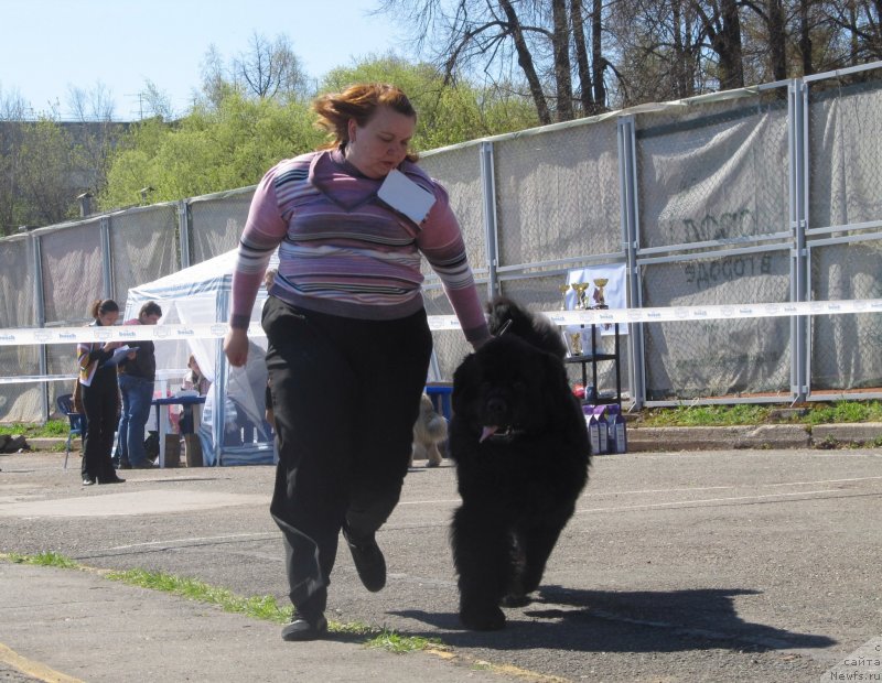 Фото: Наталья Гостюхина