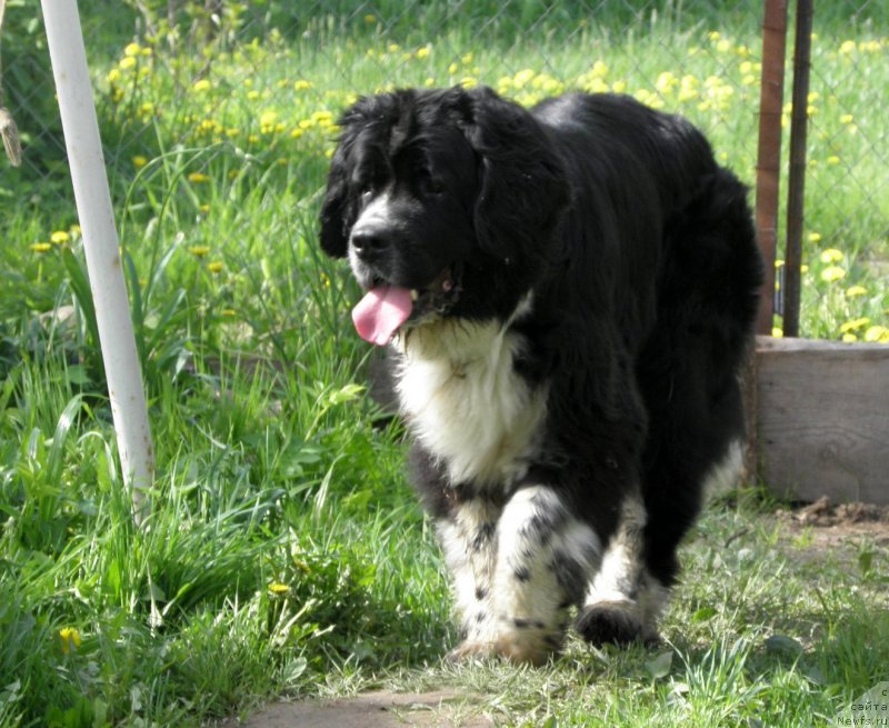 Фотография № 125696