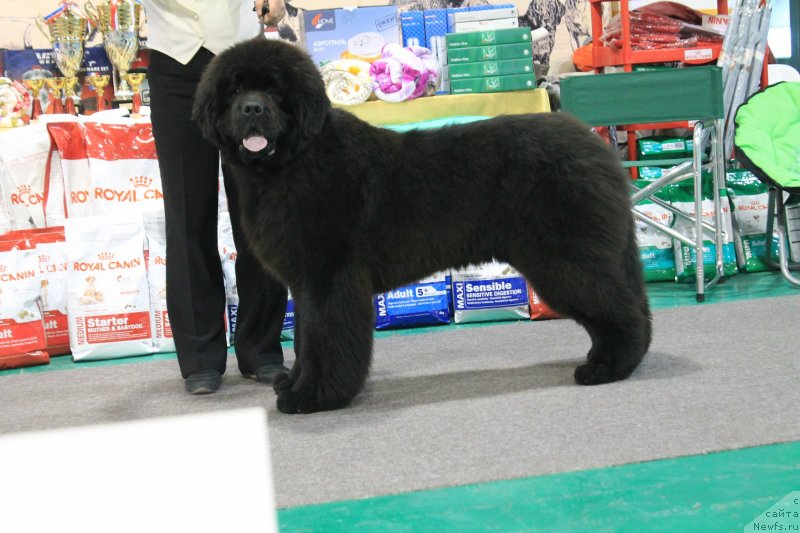 Фотография № 125731