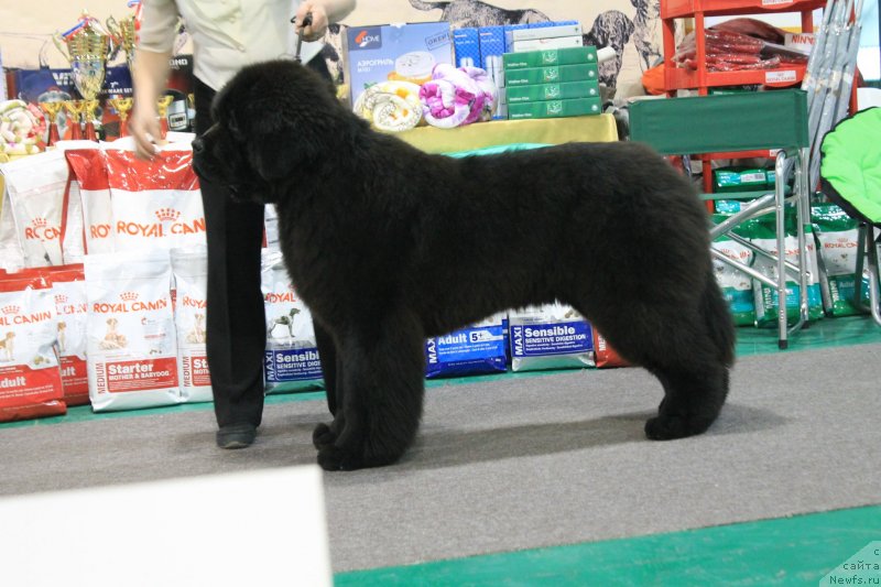 Фотография № 125732