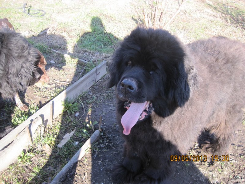 Фотография № 125772