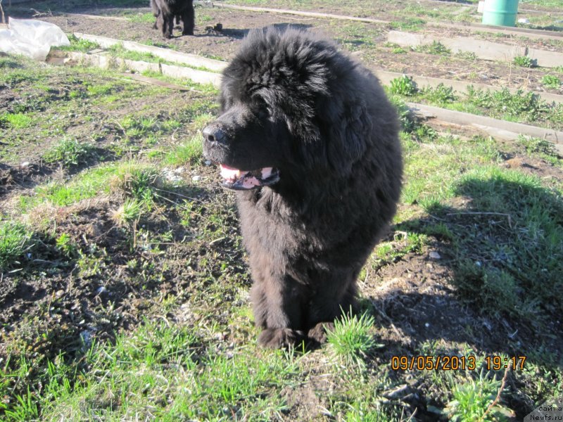 Фотография № 125774