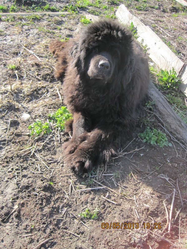 Фотография № 125775