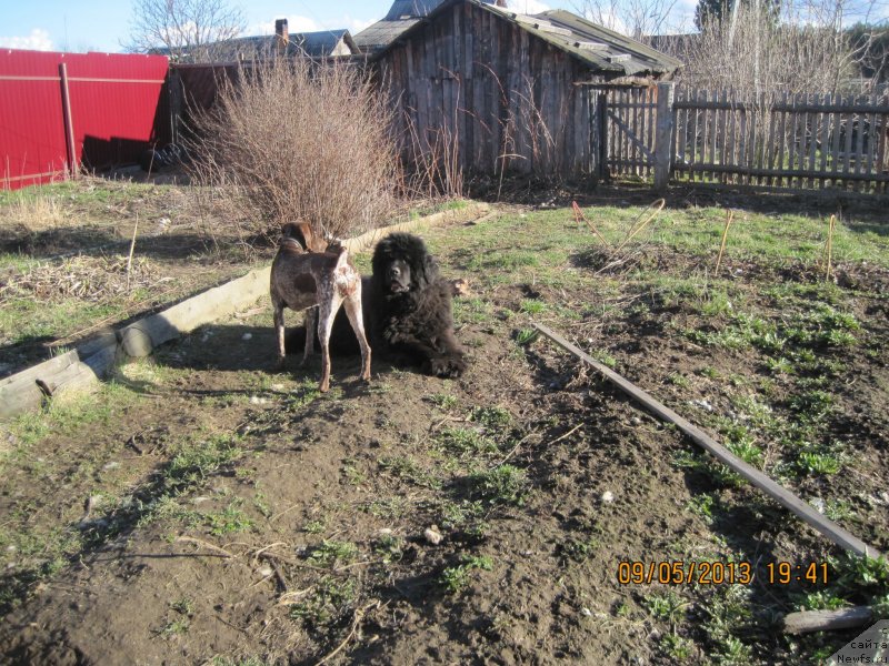 Фотография № 125776