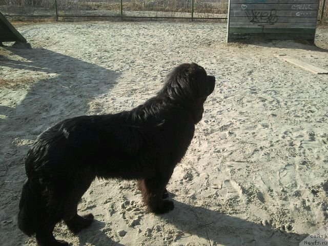 Фотография № 125779