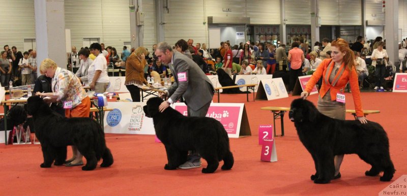 Фотография № 125784