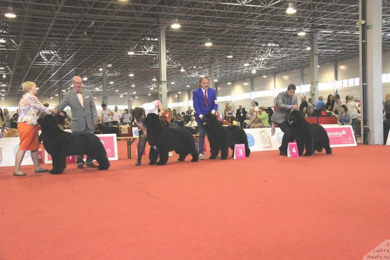 Фотография № 125786