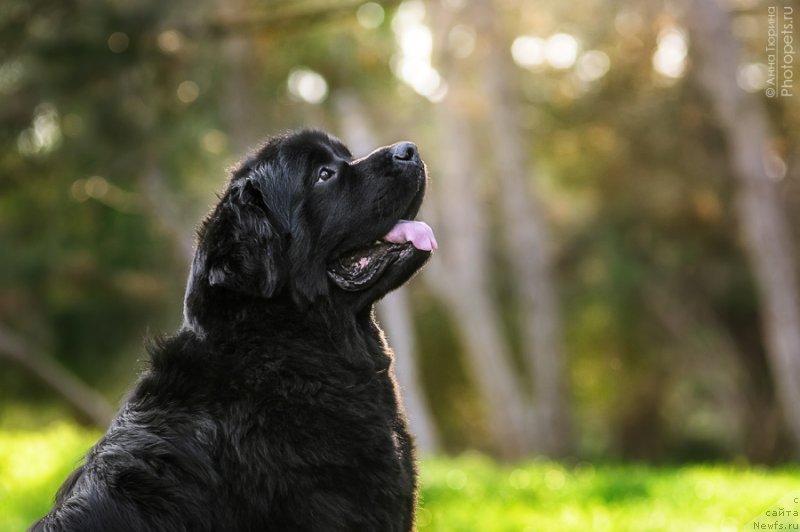 Фотография № 125815