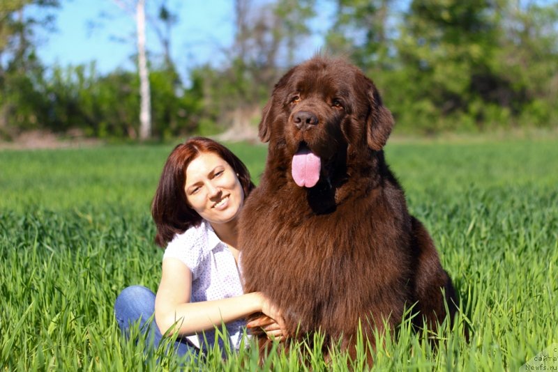 Фотография № 125832