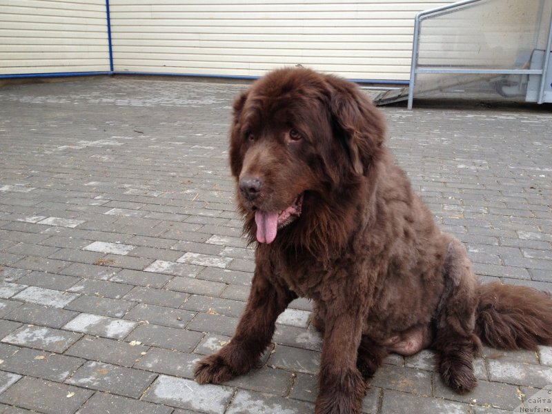 Фотография № 125847