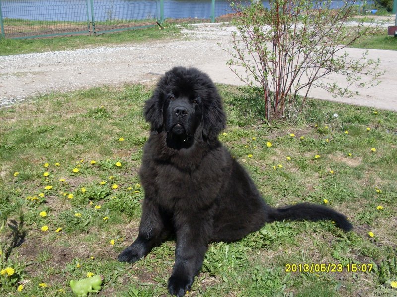 Фотография № 125867