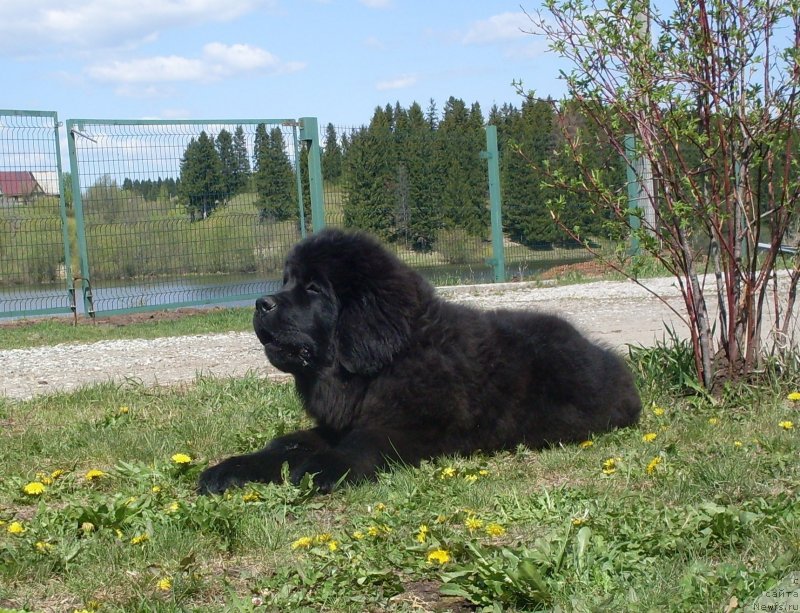 Фотография № 125868