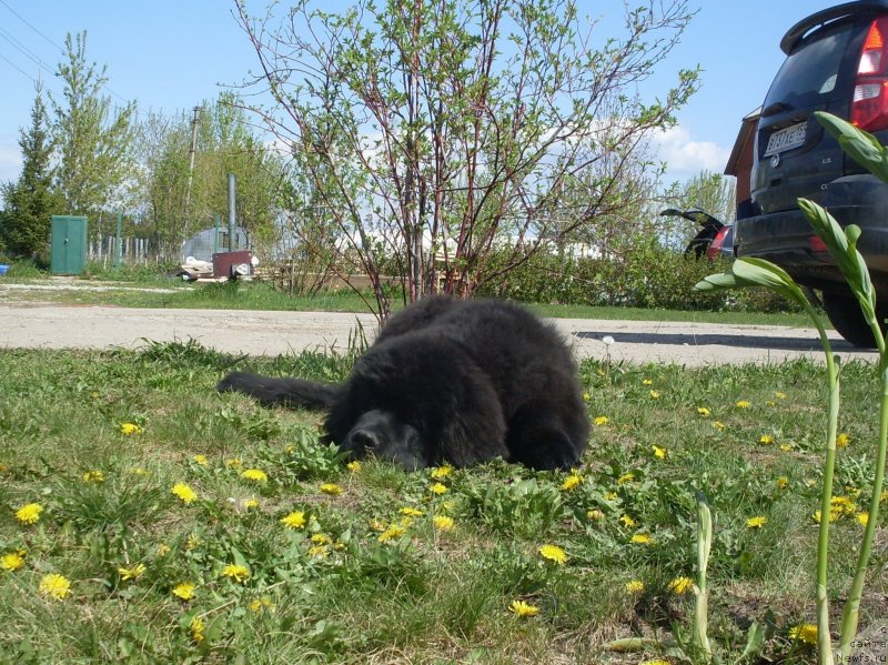 Фотография № 125869