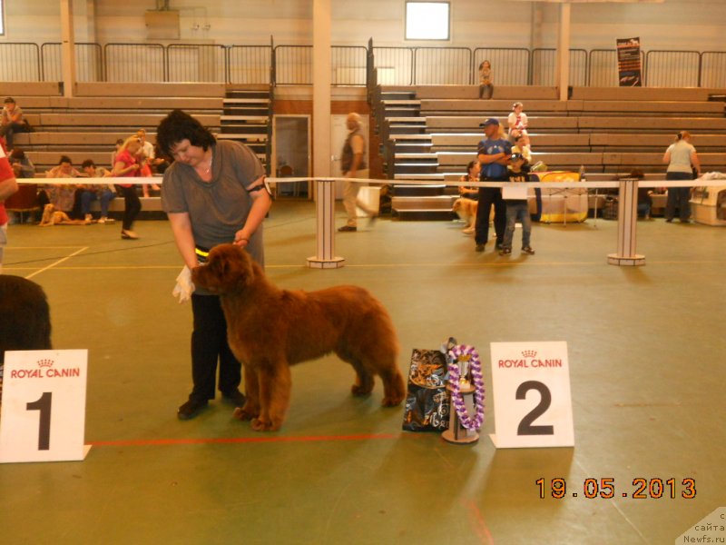 Фотография № 125872