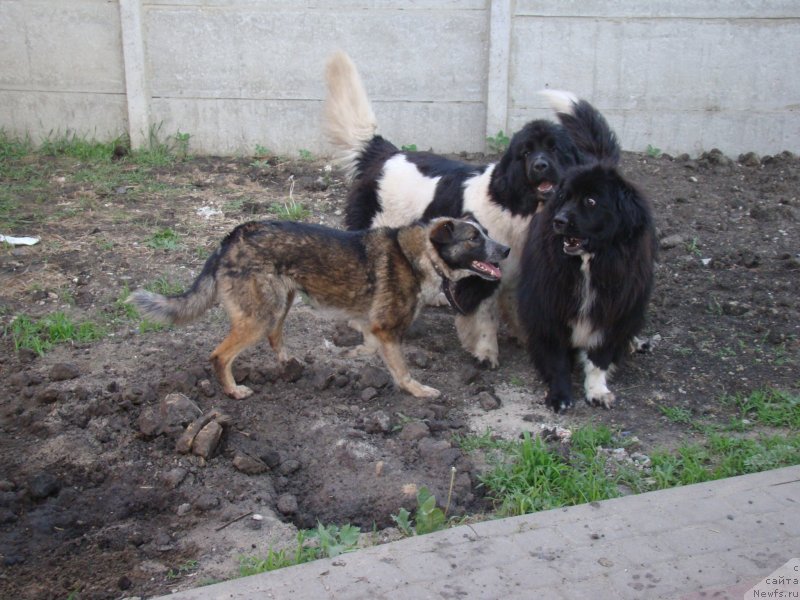 Фотография № 125895