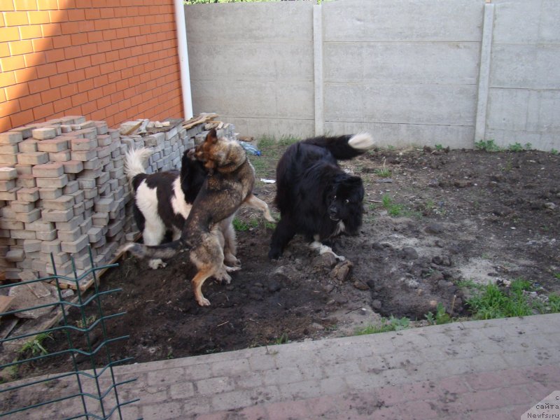 Фотография № 125896