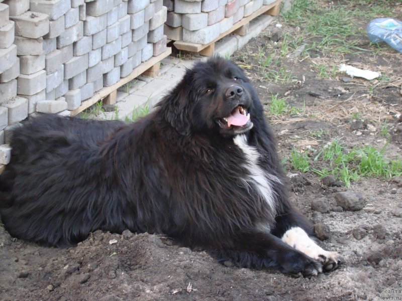 Фотография № 125897