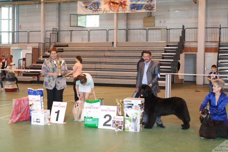 Фотография № 125899