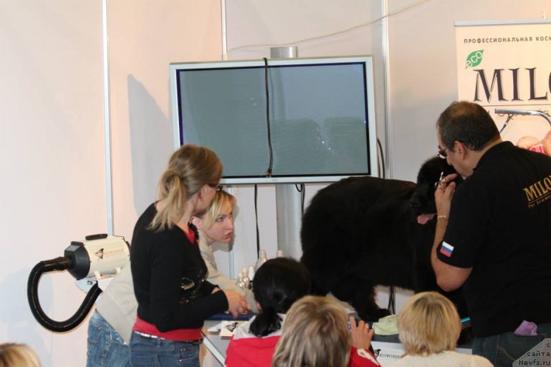 Фотография № 125910