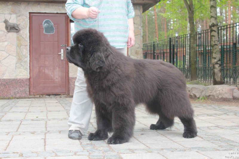 Фотография № 125951