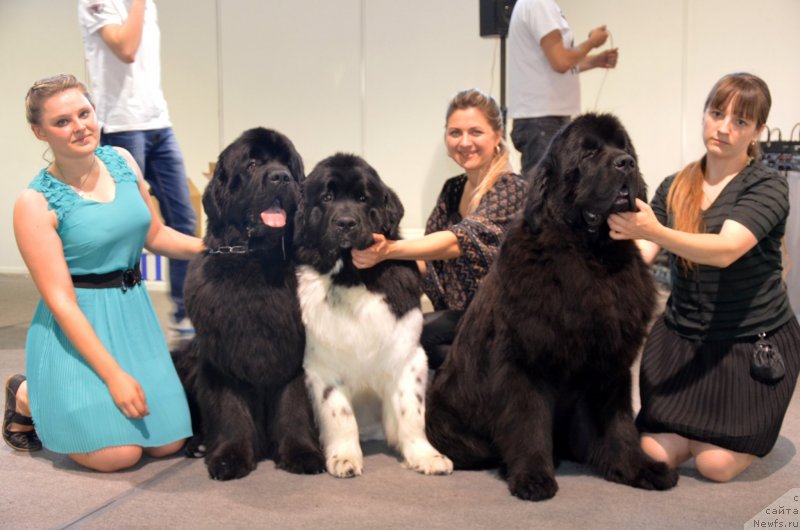 Фотография № 125992