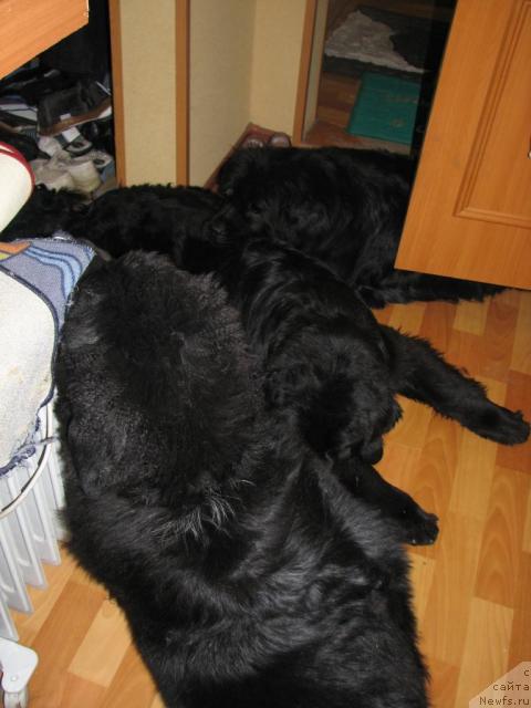 Фотография № 12601