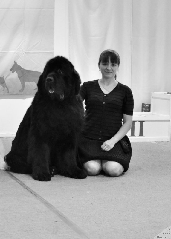 Фотография № 126026