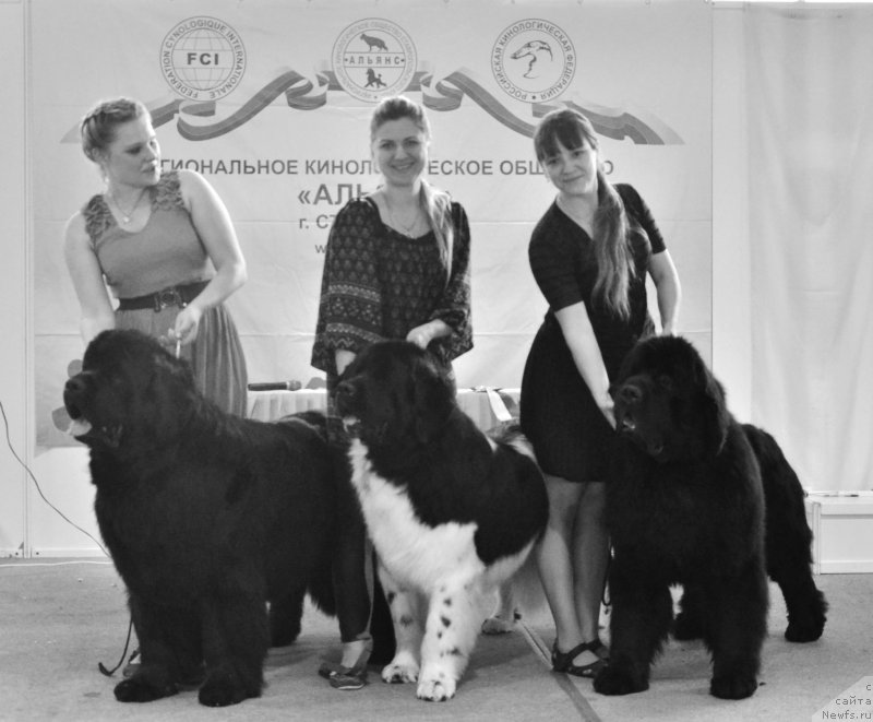 Фотография № 126027