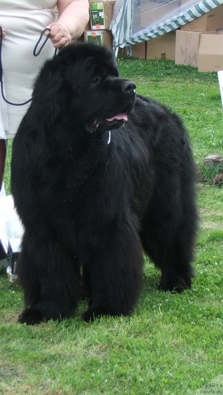 Фотография № 126029