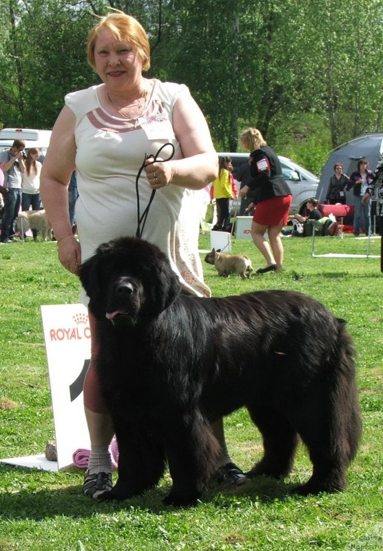 Фотография № 126030