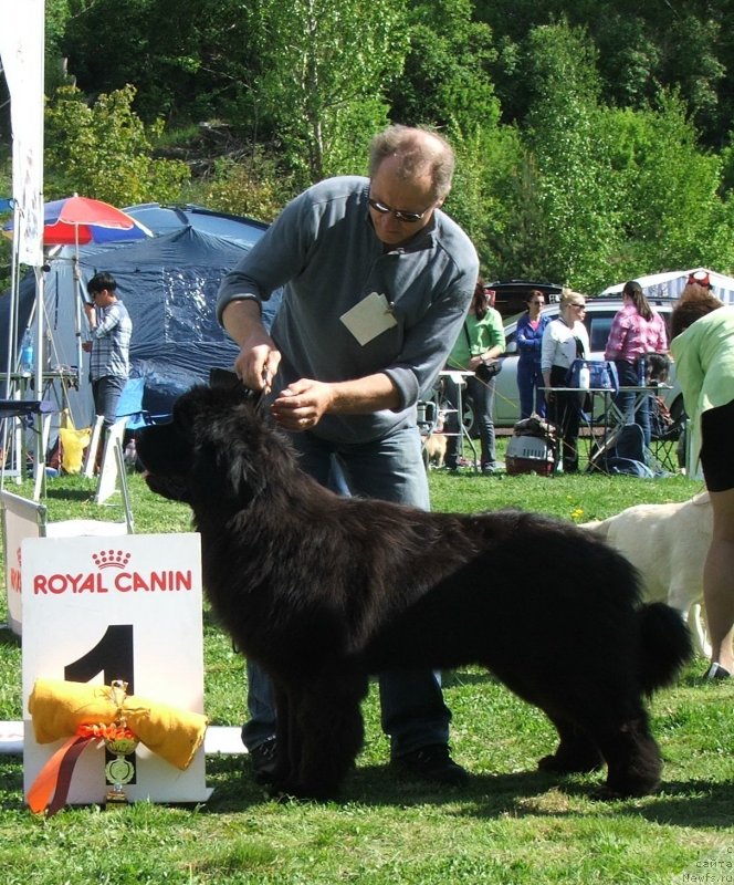 Фотография № 126032