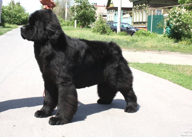 Фотография № 126055