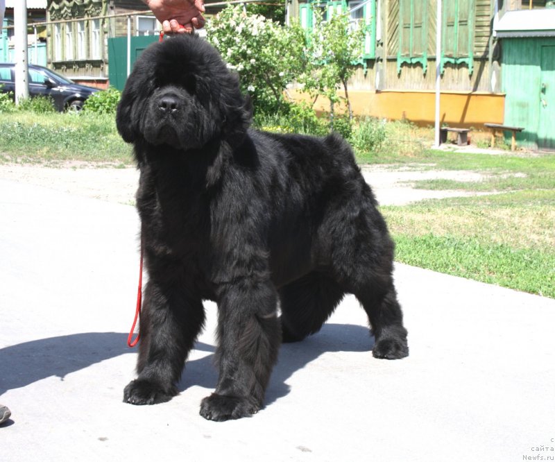 Фотография № 126058