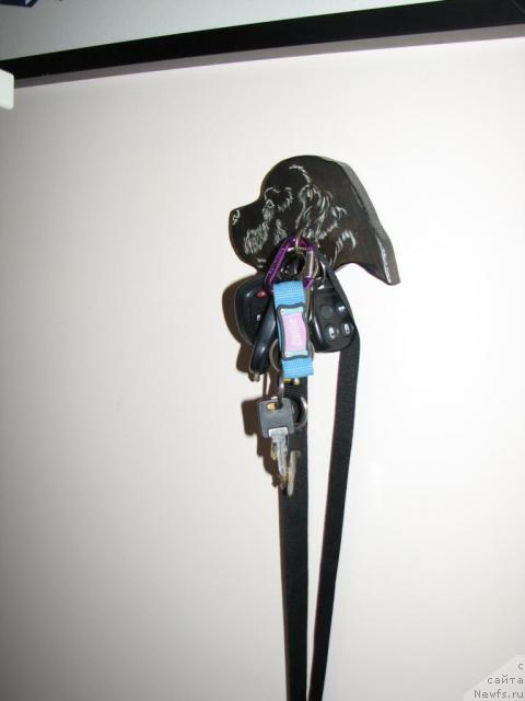 Фотография № 12606