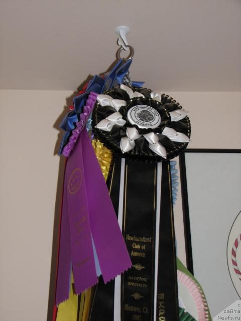 Фотография № 12608