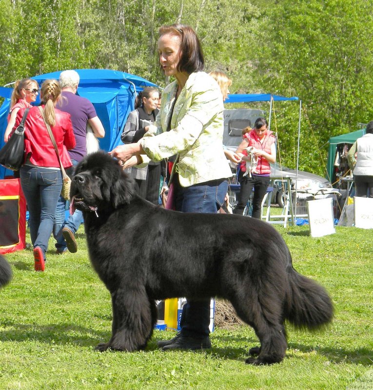 Фотография № 126099