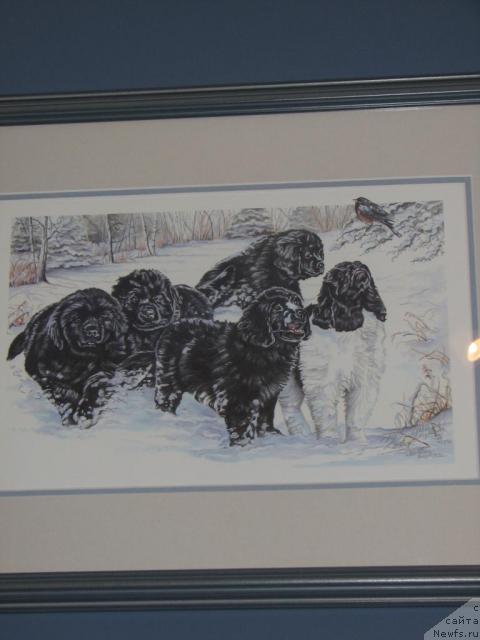 Фотография № 12610