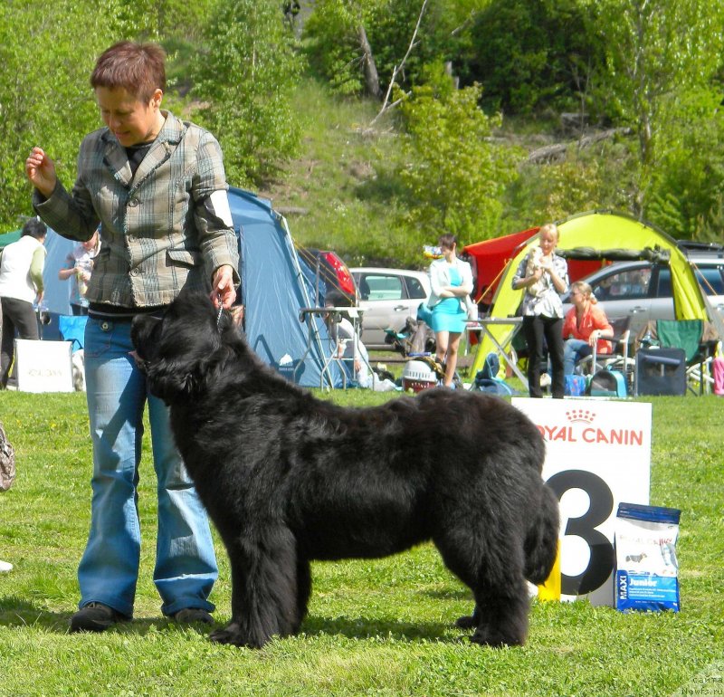 Фотография № 126100